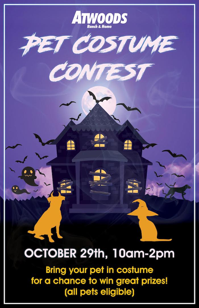 Atwoods Pet Costume Contest Enid Buzz