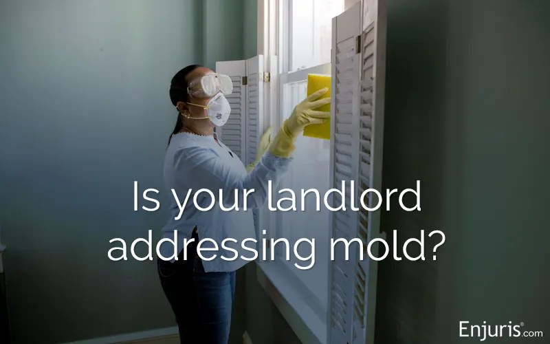 Can I Sue My Landlord for Mold in California?