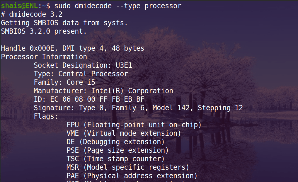 dmidecode Command Examples and Usages Enlinux