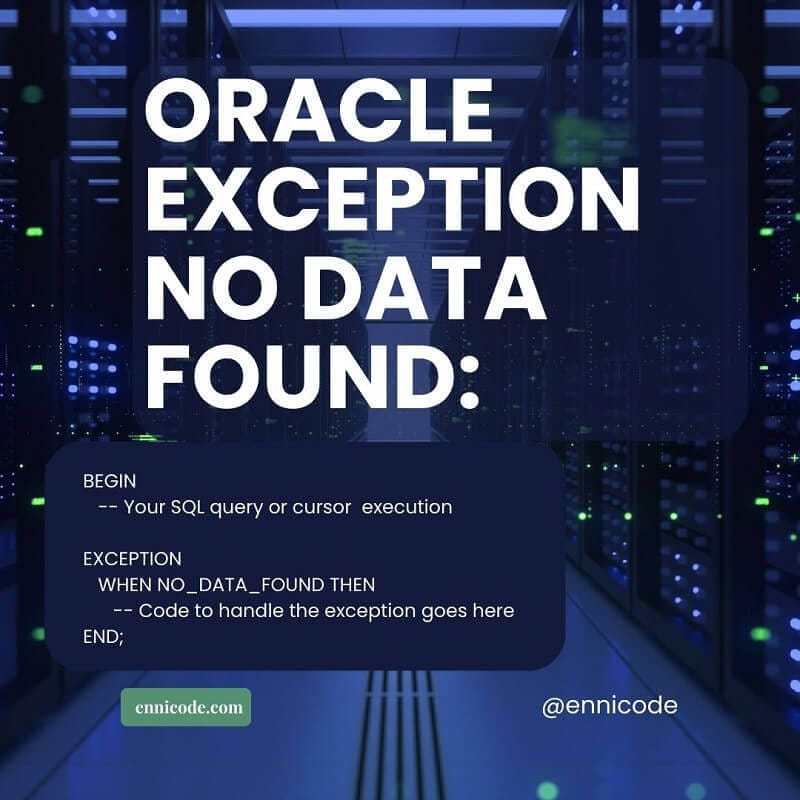 Oracle Exception No Data Found How to handle ora 01403 Ennicode