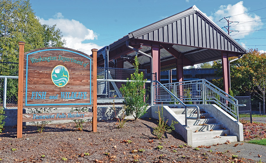 Award of Merit Small Project Tumwater Falls Hatchery Modernization