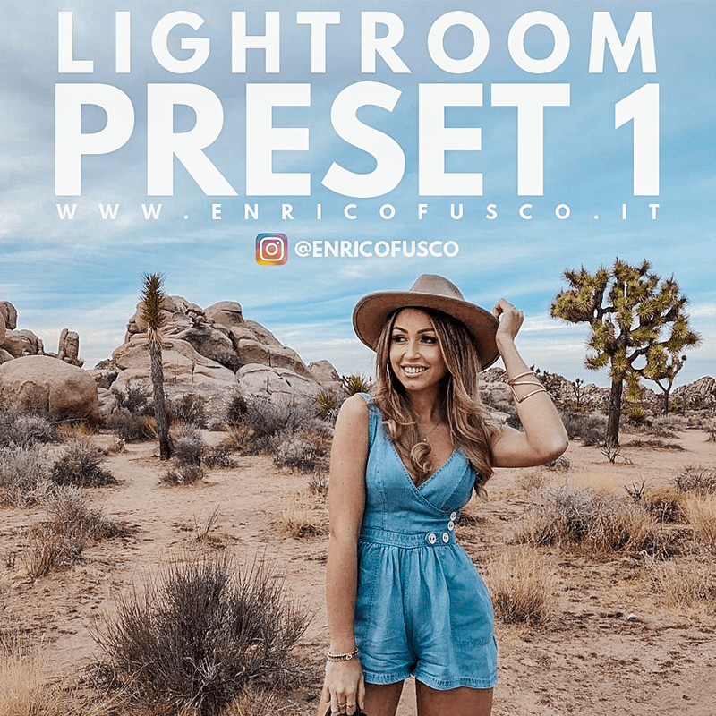 Preset 1 Lightroom Mobile Web Agency Treviso Web Marketing