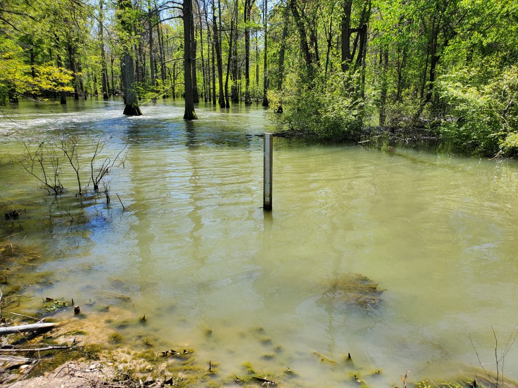 EnSafe Receives Top Category Honor in American Council of Engineering