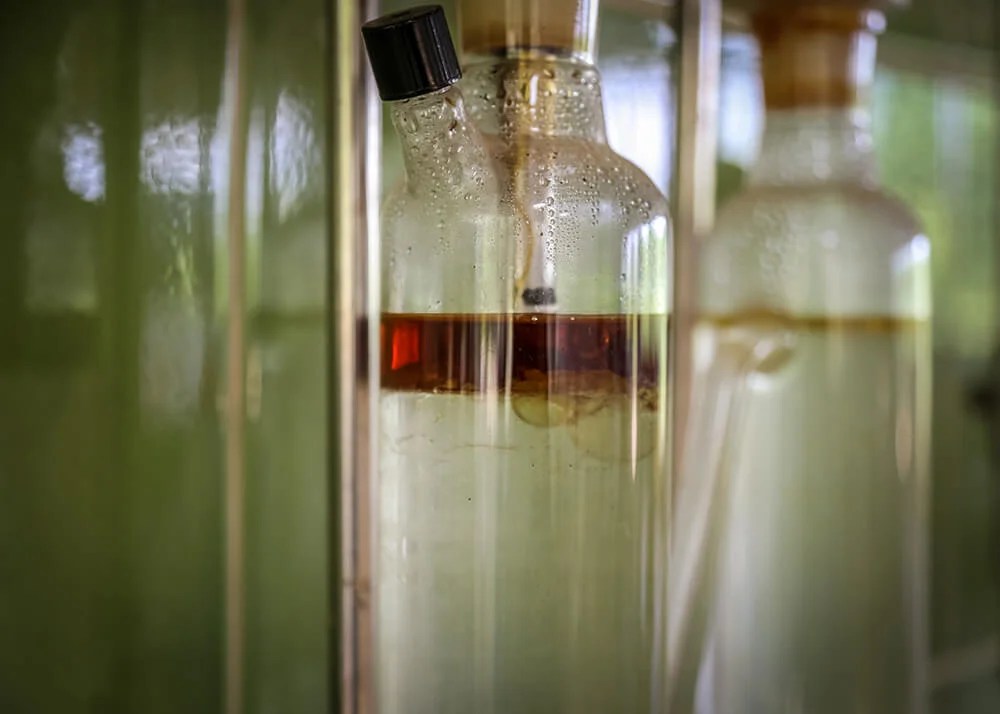 What is Agarwood/Oud Oil? Ensar Oud