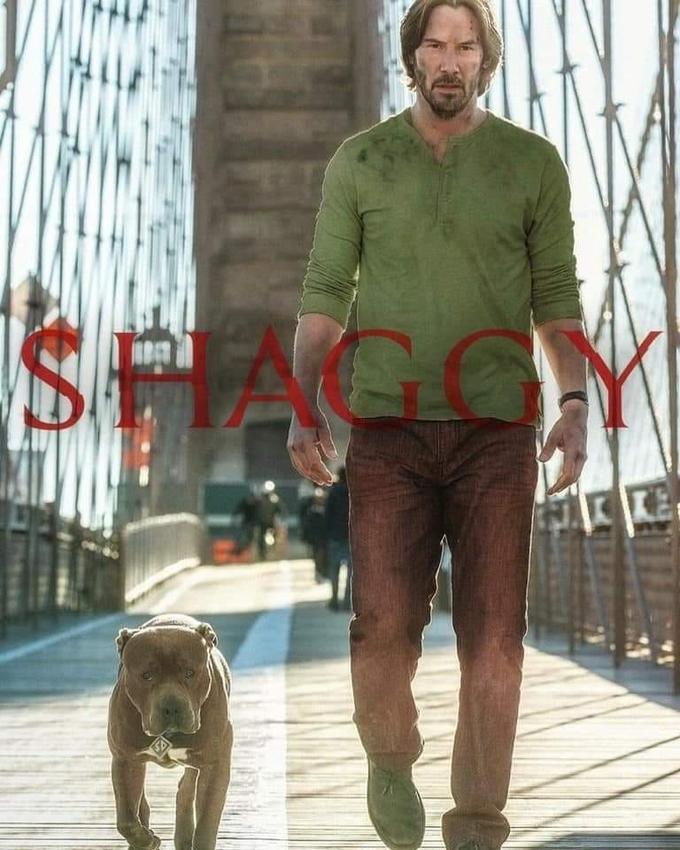 ¿De dónde viene el meme de Shaggy de ‘Scobby Doo’? • ENTER.CO