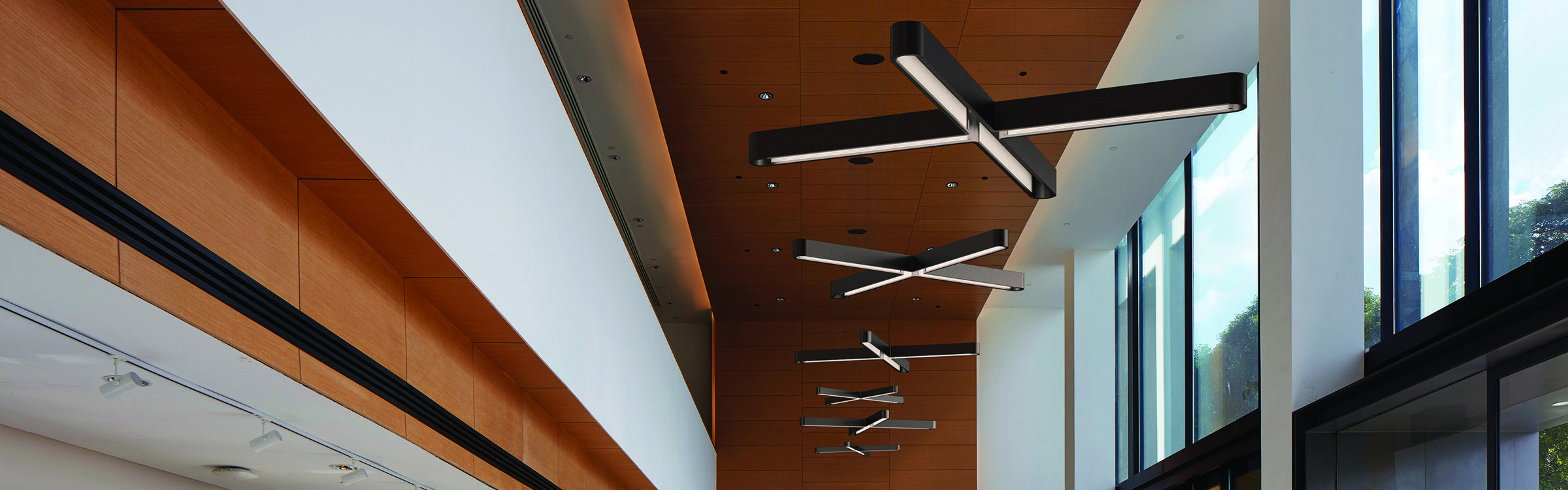 Enterprise Lighting & Control