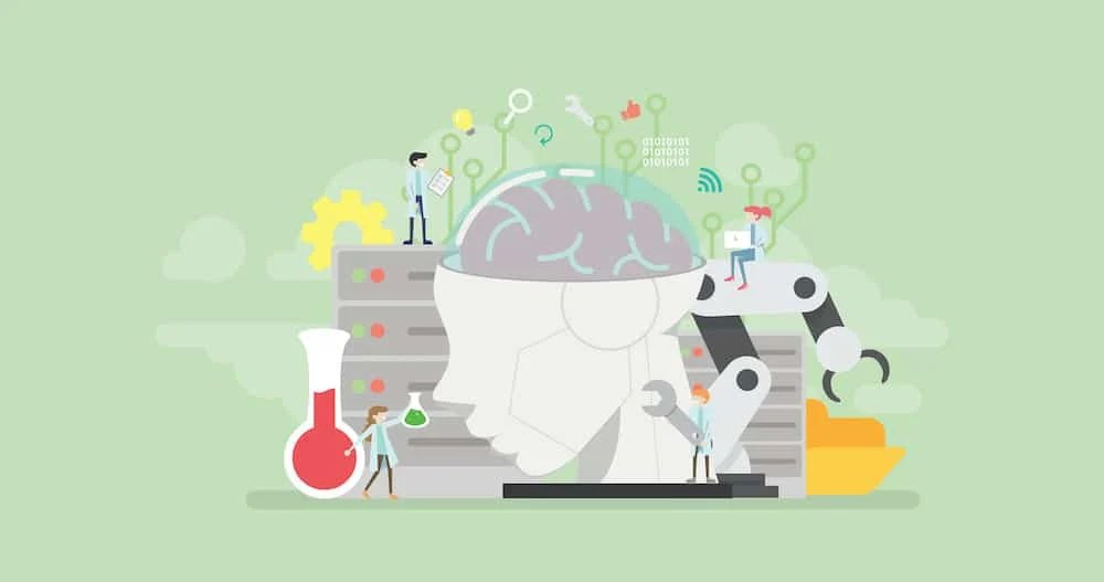 Best Machine Learning Tools for Automated Insights ESF