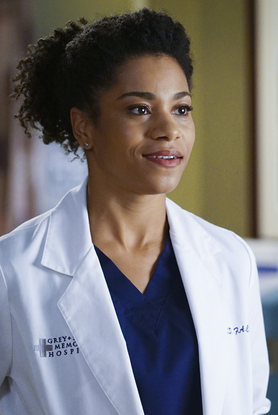 Grey's Anatomy season 11 episode 12 The Great Pretender