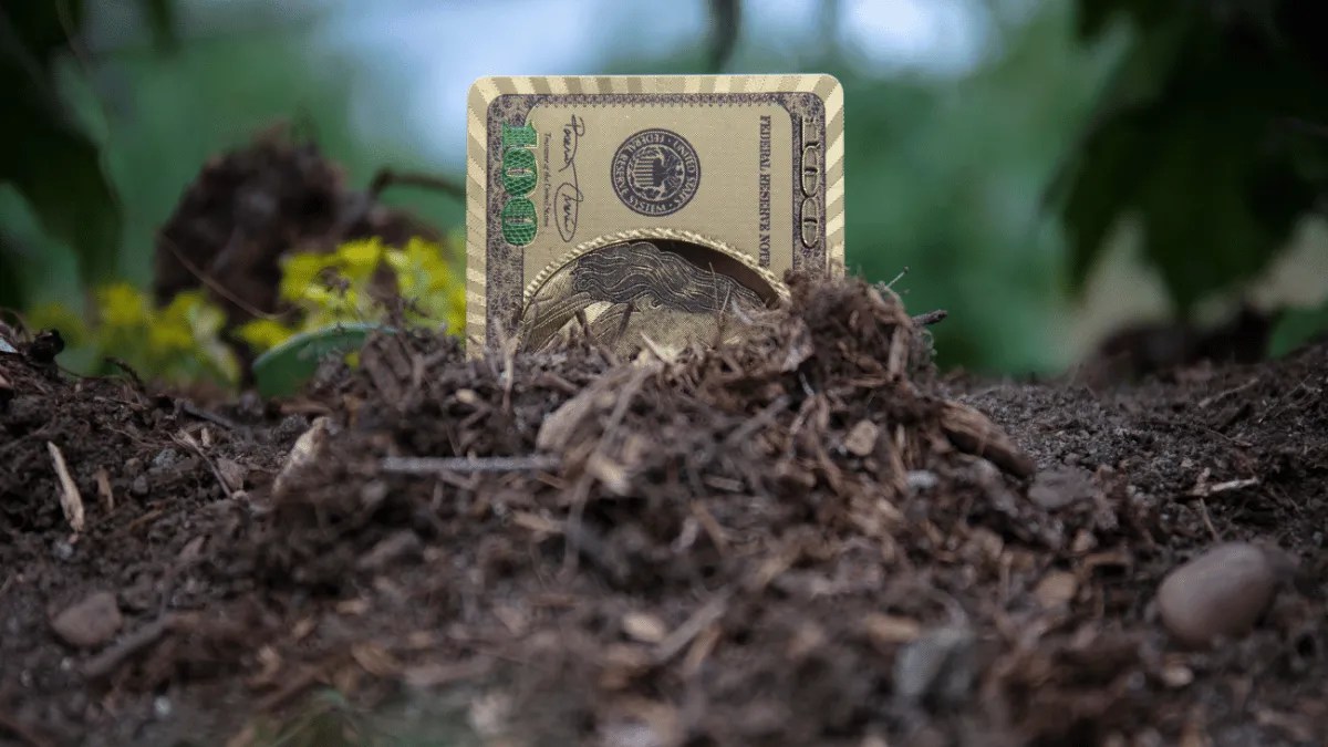 Your Guide Getting Started with Raw Land Investing