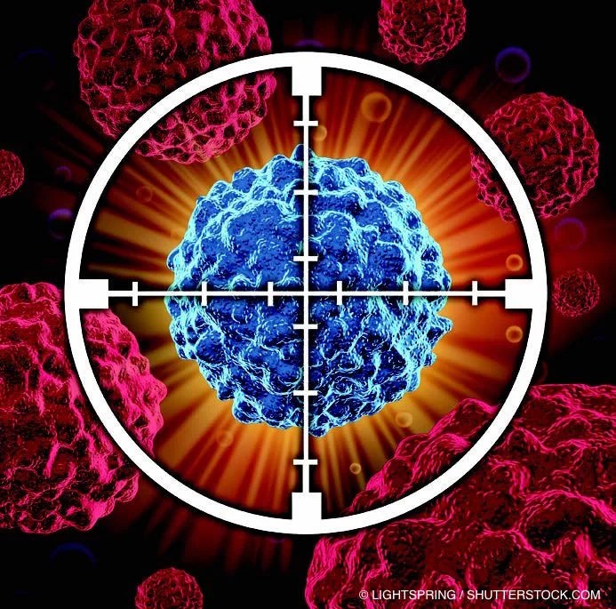 Drug Shrinks Multiple Cancer Tumor Types with Same Defect