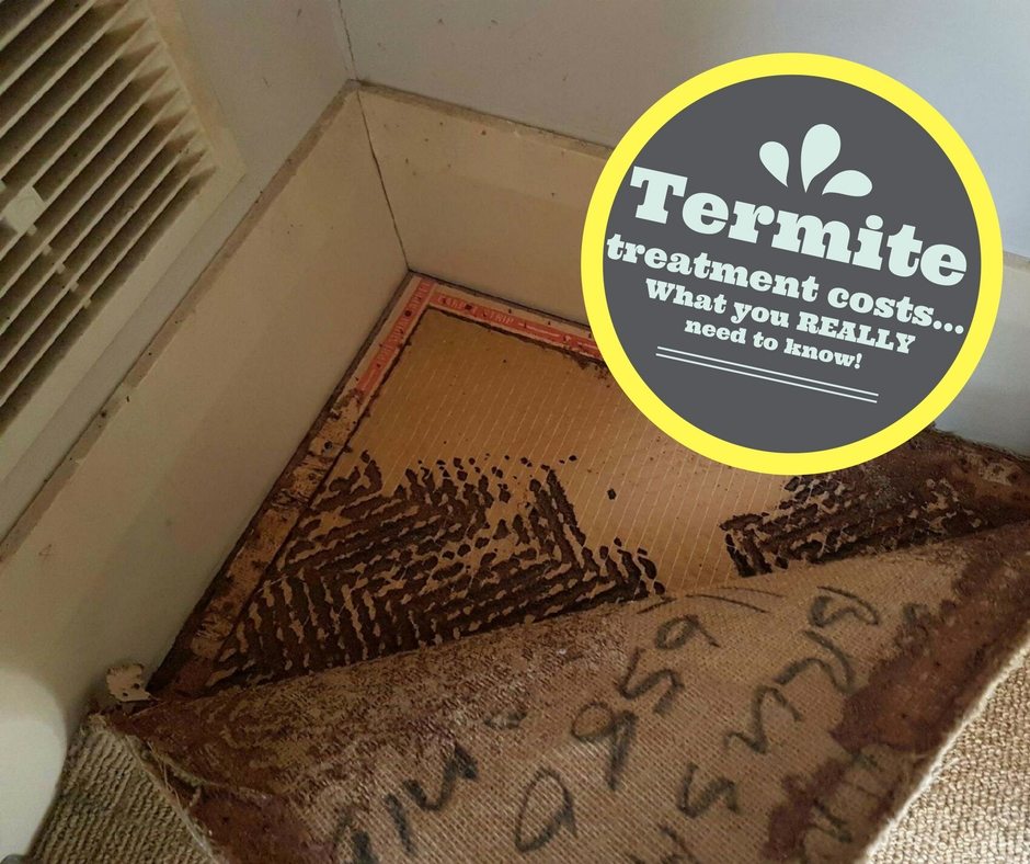Termite Treatment Cost What you REALLY need to know! • Envirapest