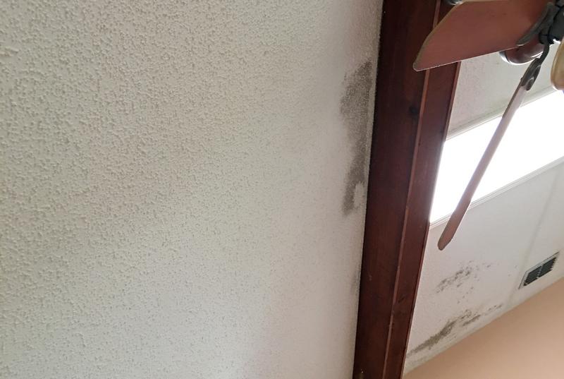 Ghosting or Mold The Difference & Prevention Strategies Environix