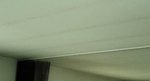 Ceiling Mold Growth Learn the Cause and How to Prevent it Environix