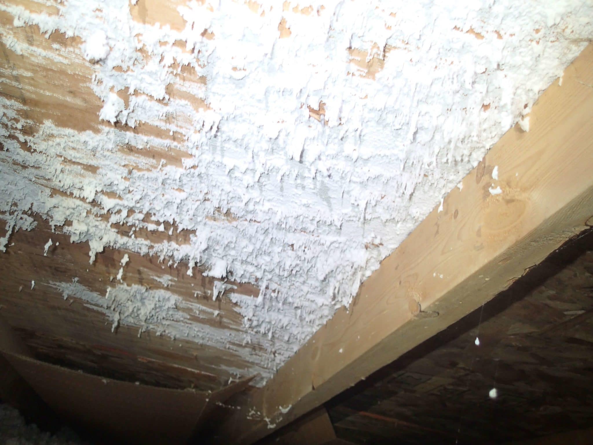 Mold on Attic Roof Sheathing What it is and How to Remove it Environix