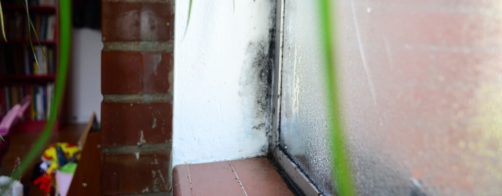 Mold Growth on Windows Causes and Solutions Environix