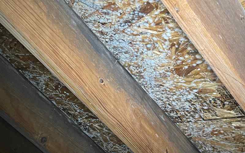 Mold on Attic Roof Sheathing What it is and How to Remove it Environix