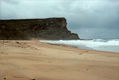 Royal National Park project program capital budget NSW Environment