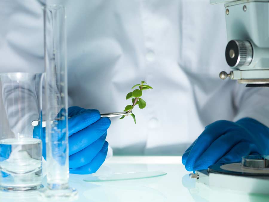 Careers in Environmental Science Jobs for Enviro Majors