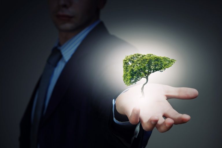 Careers in Environmental Science Jobs for Enviro Majors