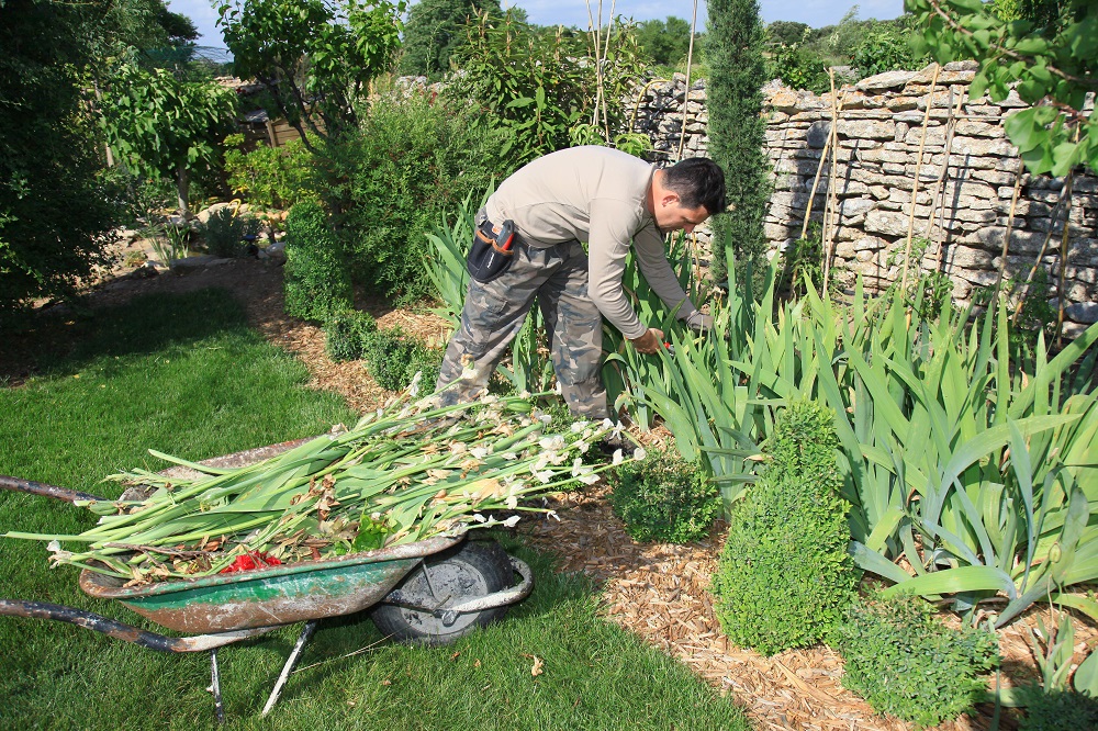 Careers in Agriculture & Forestry
