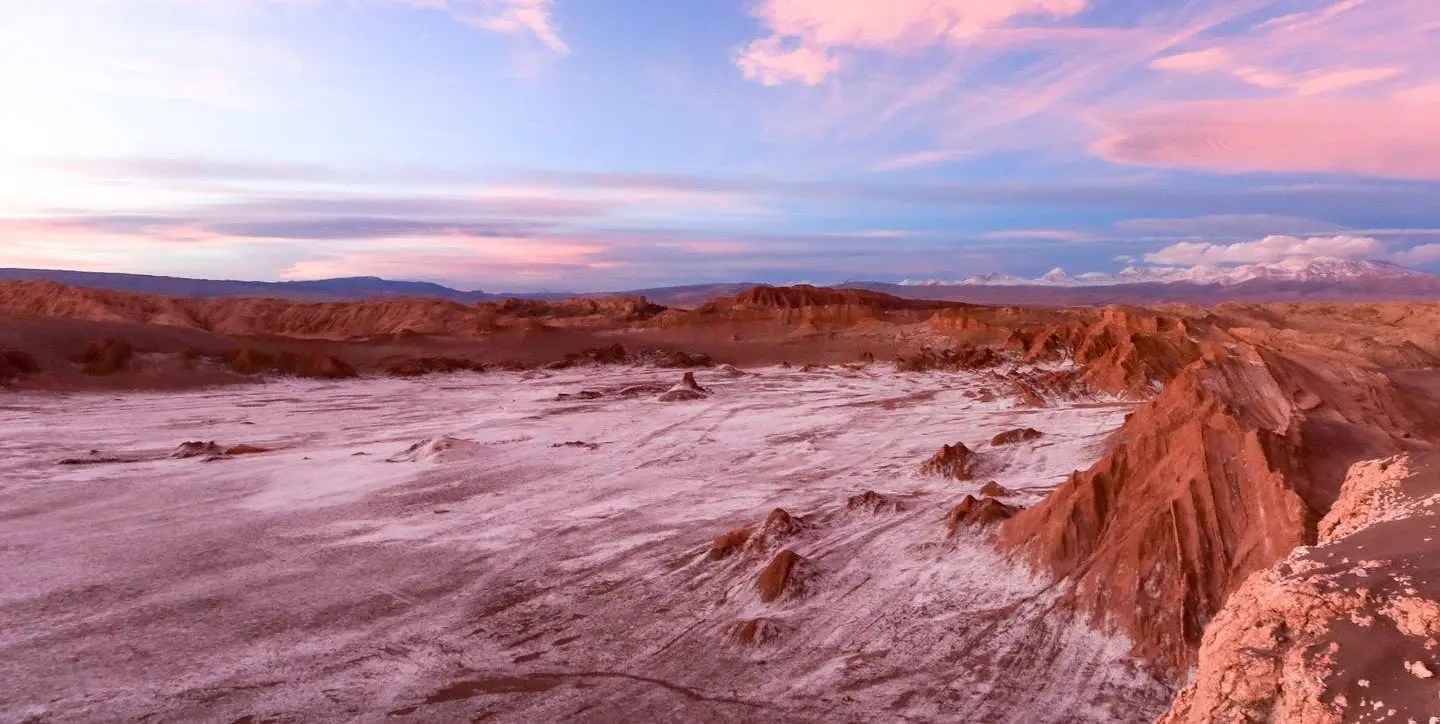 Barren Land Environment Buddy