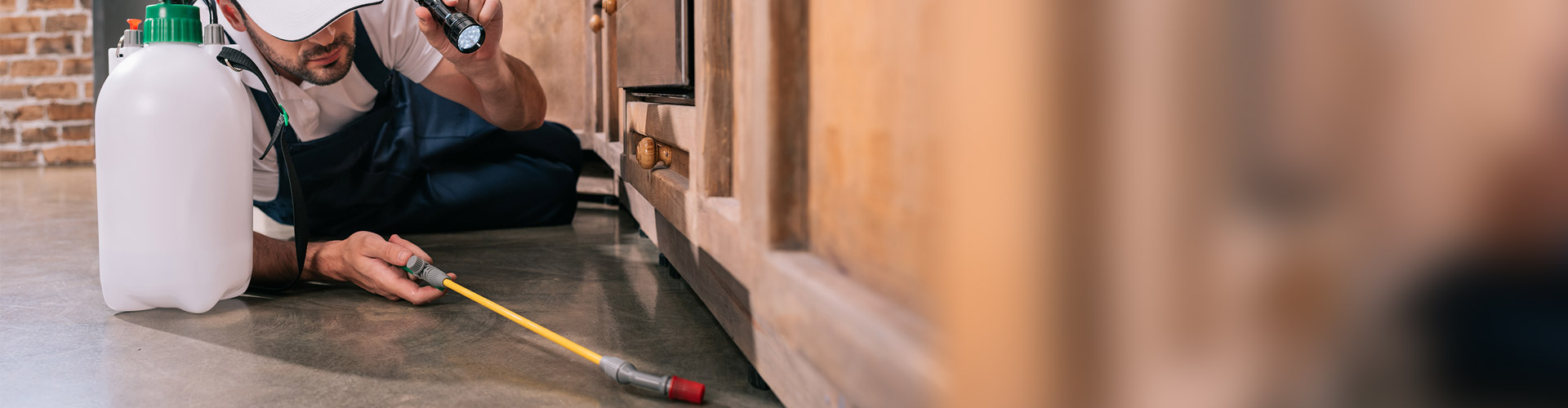 Residential / Commercial Pest Control Hamilton, Ancaster, Dundas