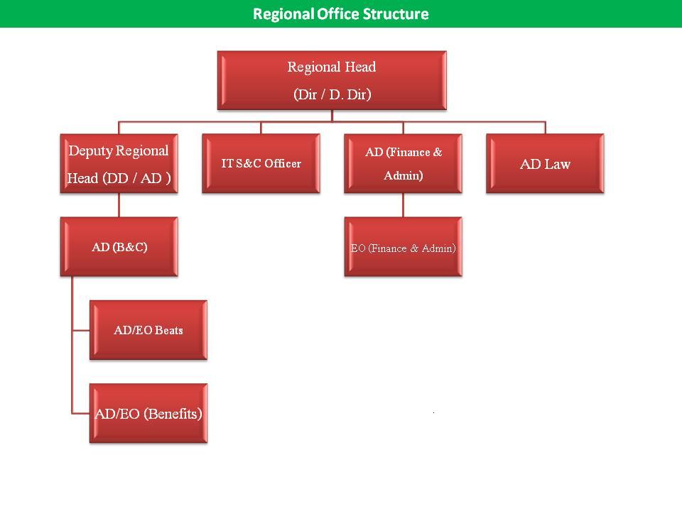 Regional Office Structure