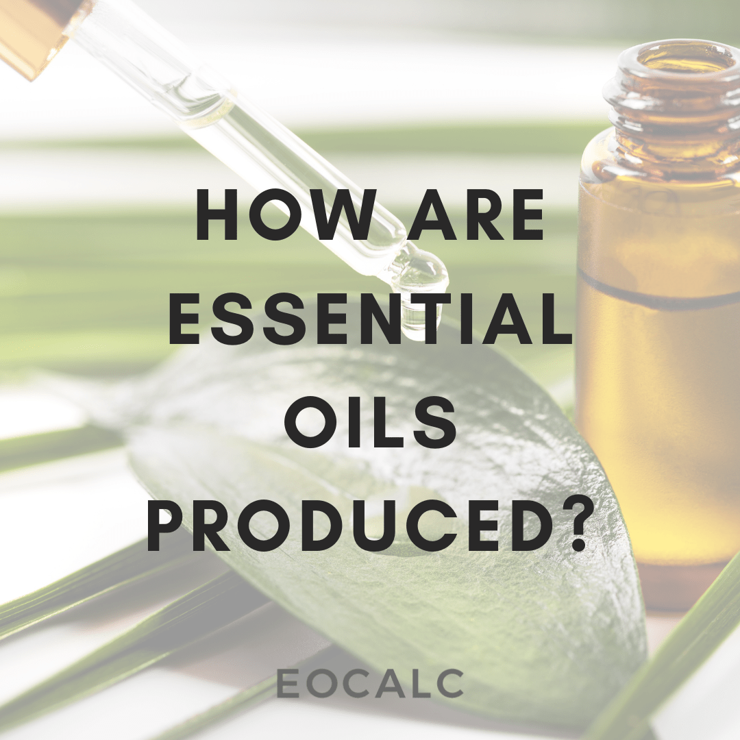 How Are Essential Oils Produced? — EO Calc Essential Oil Calculator