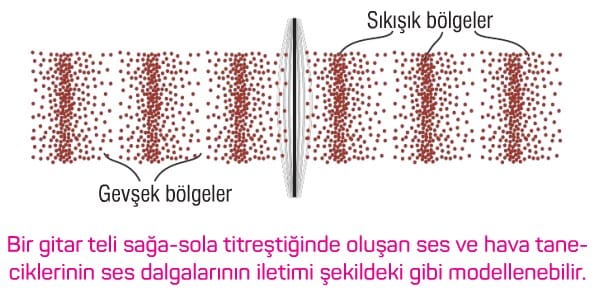 Ses Dalgaları Dalgası Konu Anlatımı Soruları Çözümleri 10. sınıf Ders