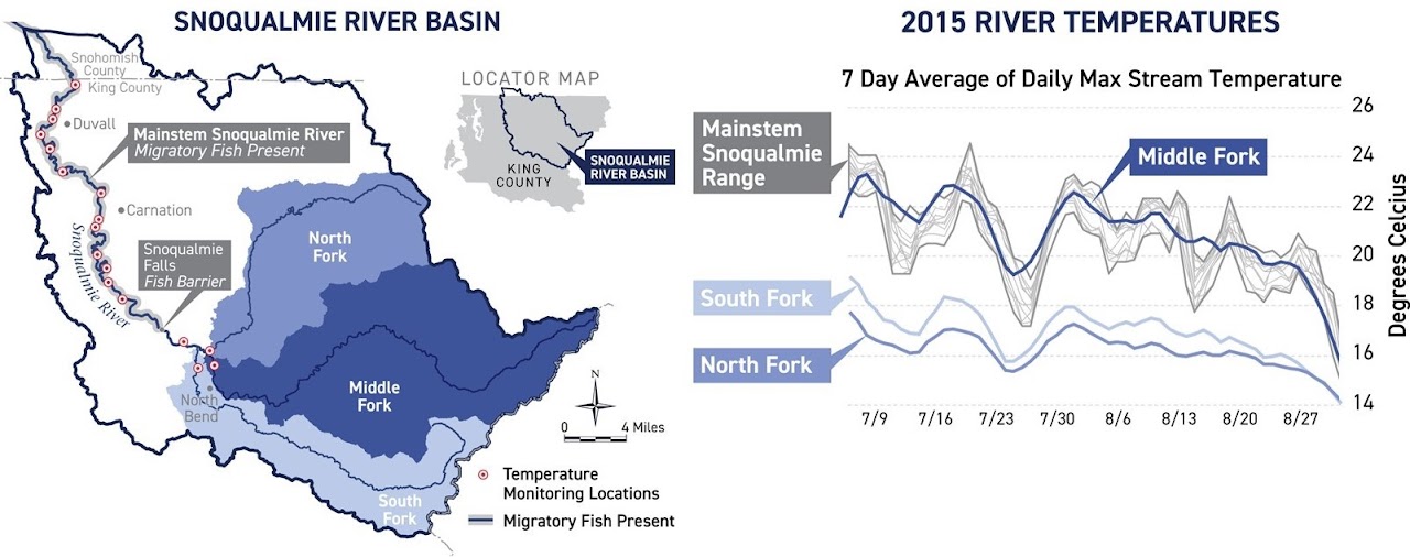 Taking the temperature of salmon Encyclopedia of Puget Sound