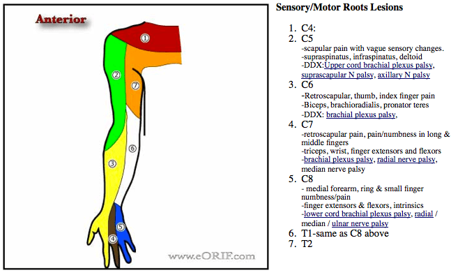 Axillary Nerve Palsy S44.30XA 955.0 eORIF