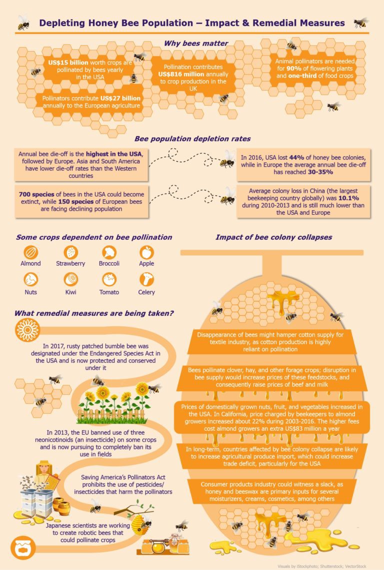 Infographic Dwindling Honey Bee Colonies Impact and Remedial Measures