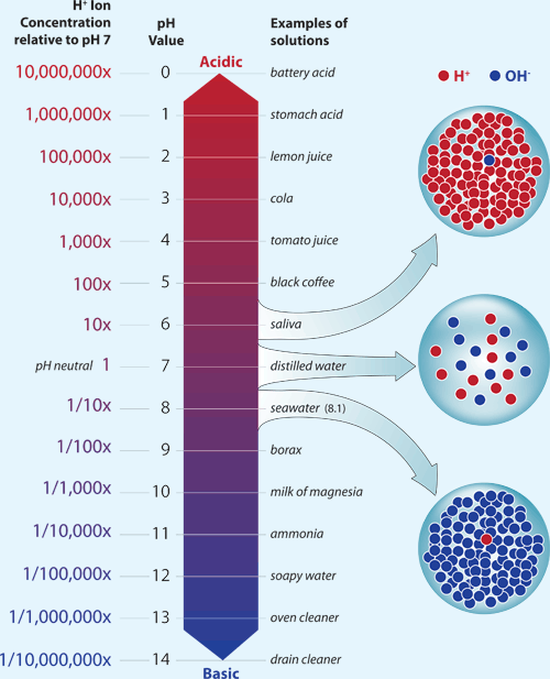 Understanding the Science of Ocean and Coastal Acidification US EPA