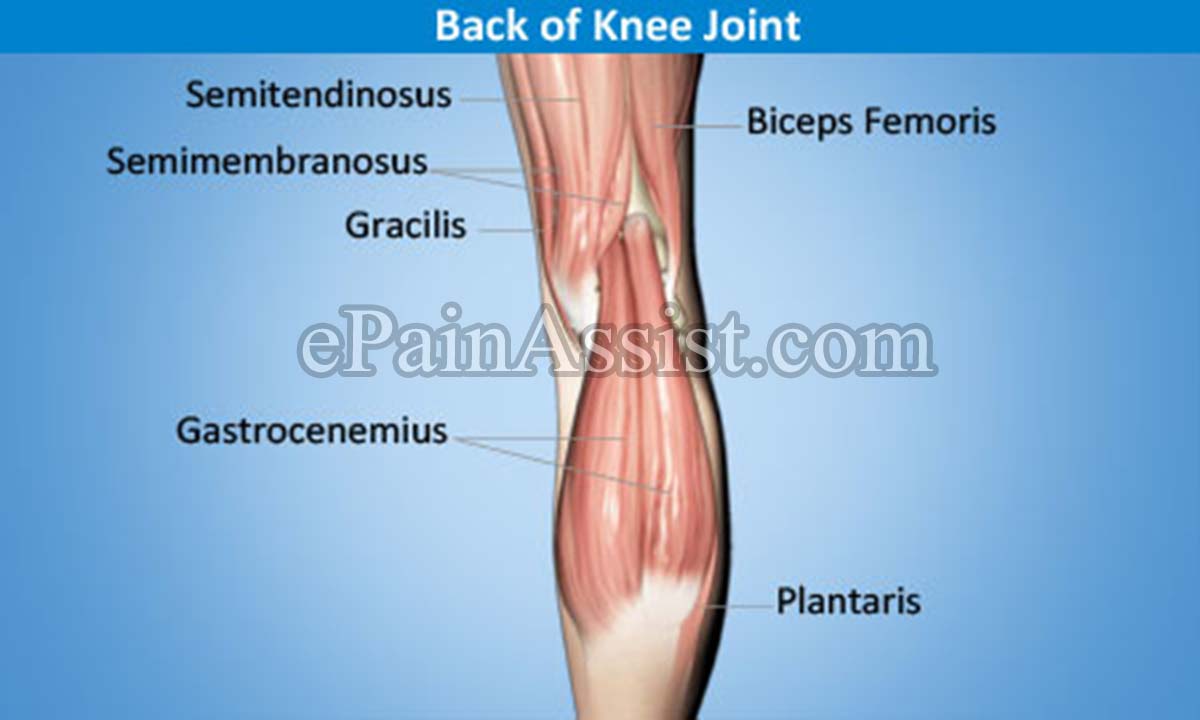 Knee Joint TendonitisTypesSymptomsTreatmentConservative, NSAIDs, PT