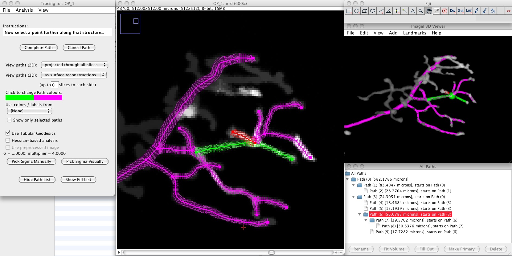 Tubular Geodesics Fiji plugins ‒ CVLAB ‐ EPFL