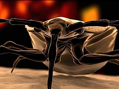 Monsters Inside Me New Season 2023 Monsters Inside Me (A Titles & Air Dates Guide)