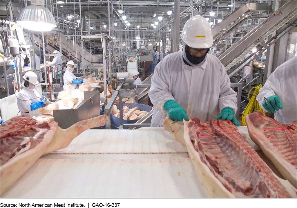 Weak labor protections have put Midwestern food processing workers at