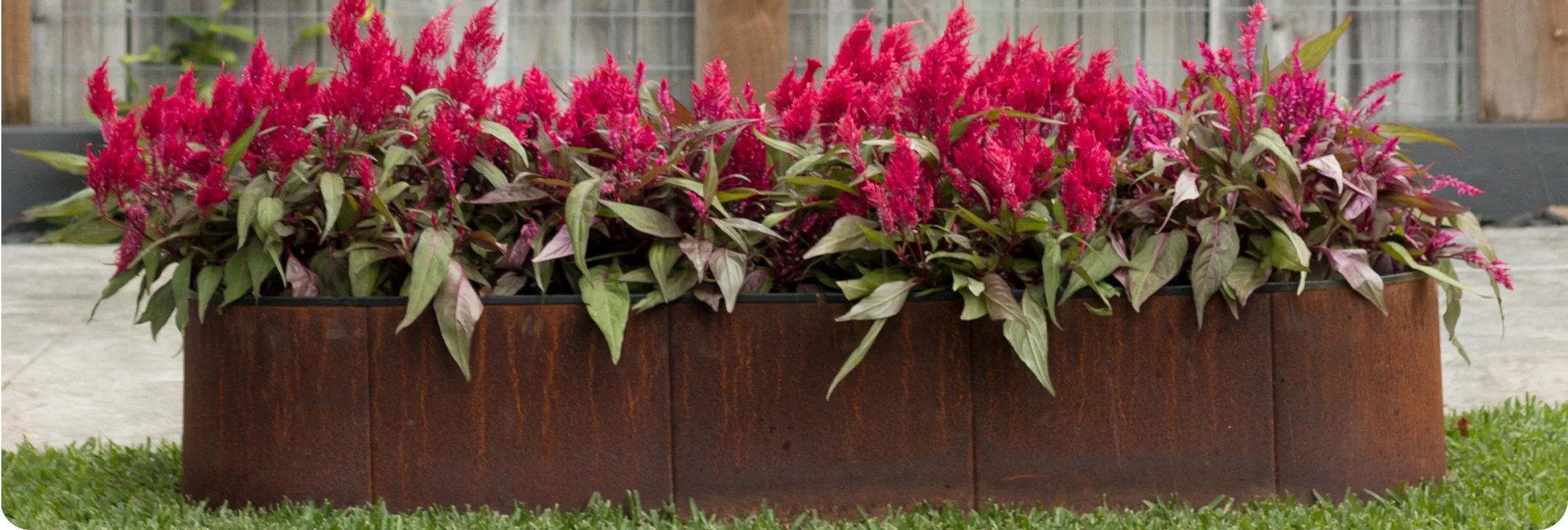 About Epic Gardening