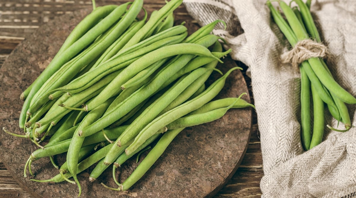 Top view, close-up of bean pods on a round wooden stand, next to another tied bunch of beans on burlap. The pods are long, slightly plump, narrow, curved, with a pale green shell.