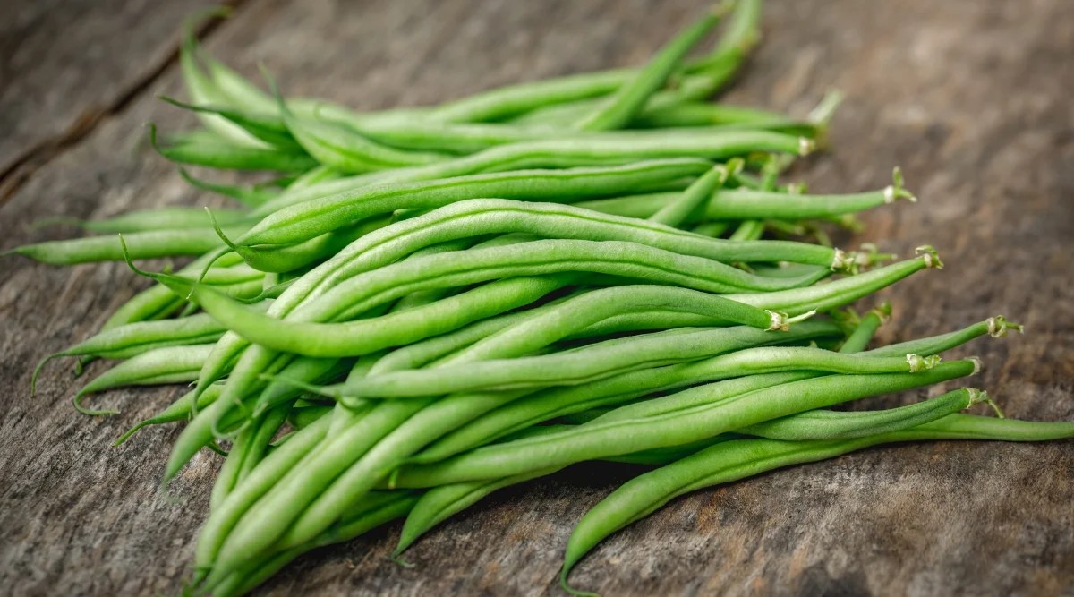 Close-up of a bunch of French Filet bean pods on a dark wooden surface. The pods are thin, long, slightly plump, bright green.