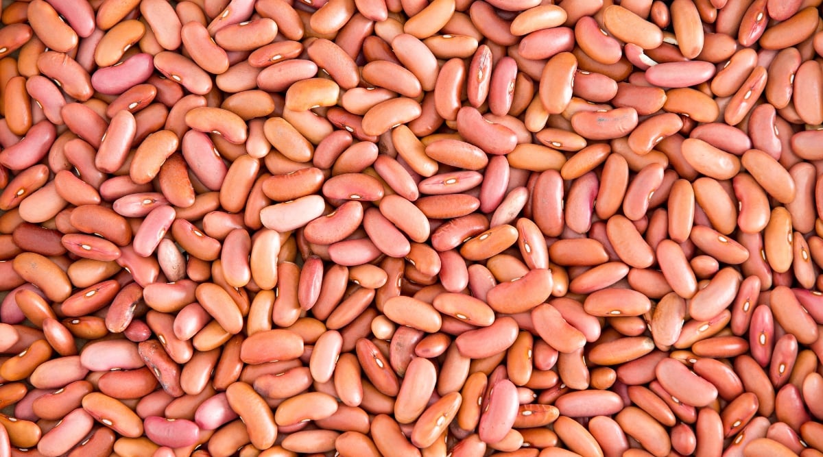 Light red kidney beans sit in a pile on together. They are not yet cooked, and the image is a closeup that shows their standard color outer shells.