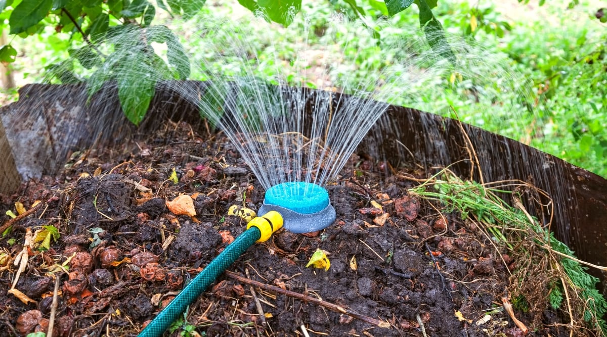 Humidification compost pile. Close-up of a hose with a spray nozzle spraying water onto a compost pile in a garden. The compost pile is in a large metal container. The compost is completely wet.