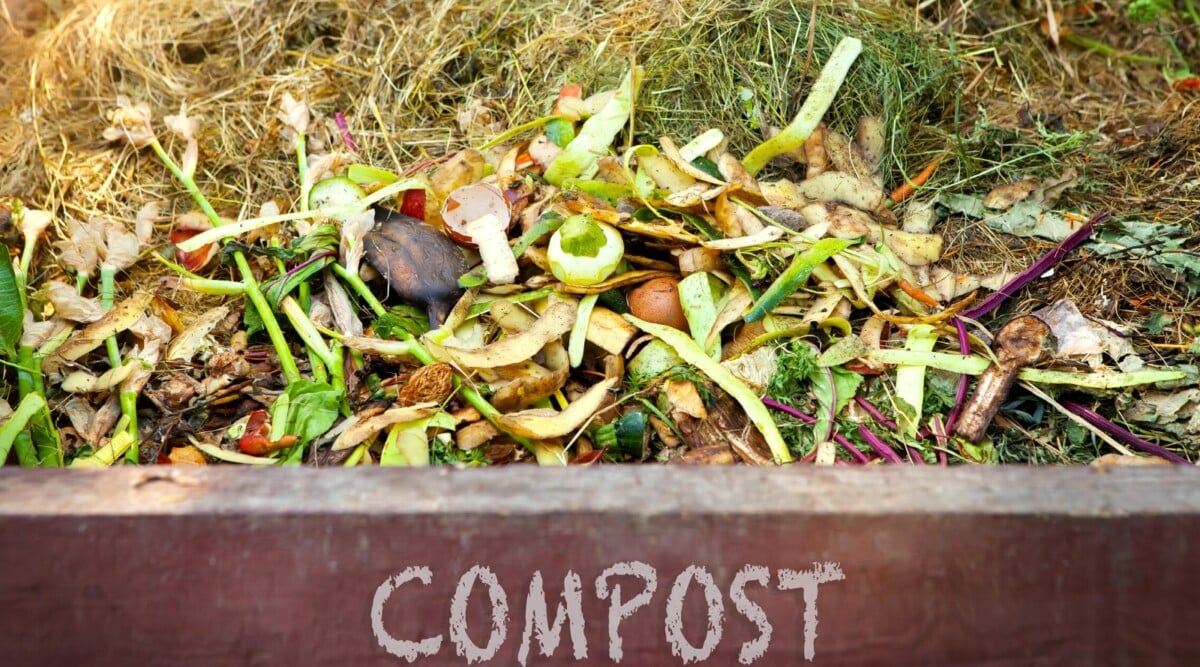 composting myths
