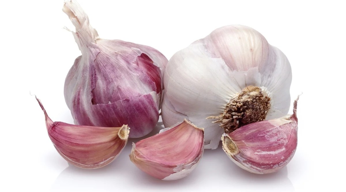 Close-up of two Ajo Rojo garlic bulbs with three cloves, in front of a white background. The Ajo Rojo garlic bulb is made up of several cloves arranged in layers. These cloves have a bright white outer skin that reveals pinkish-red clove wraps. Each clove has a bright appearance due to the pinkish-red coloration of its wrappers.