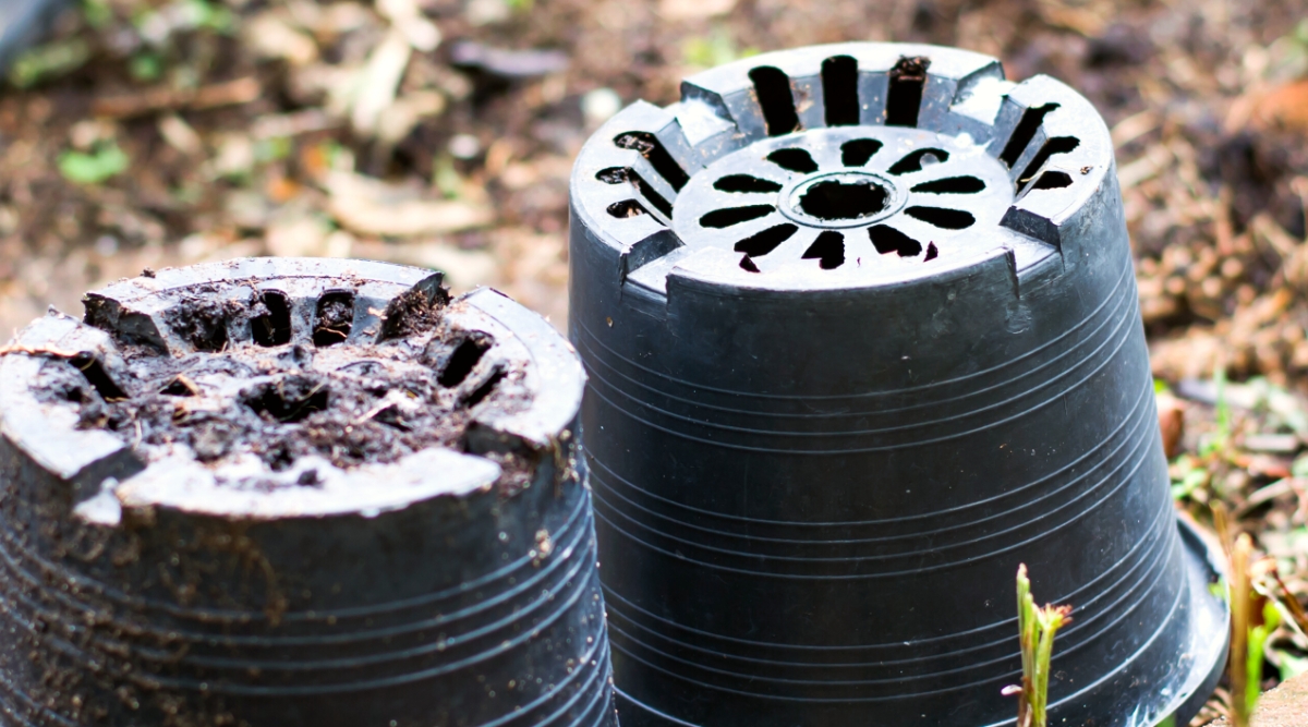 Close-up of two upside down plastic pots in the garden. The pots are black, rounded, with many drainage holes.