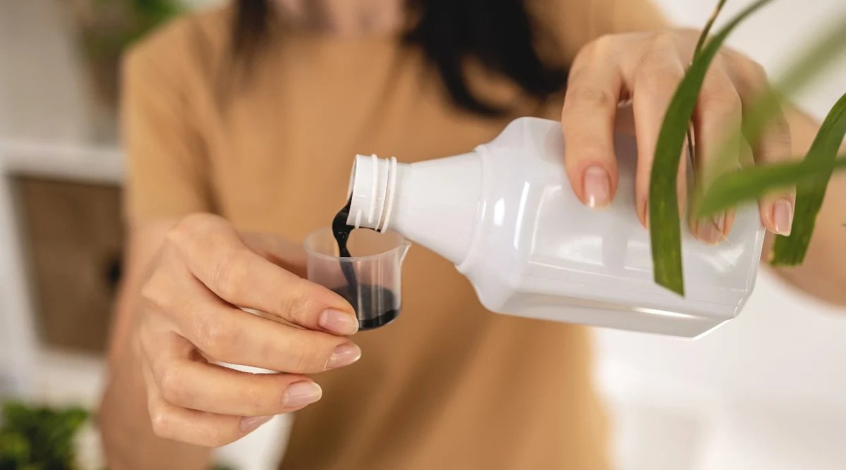 15 Tips For Growing Beautiful Begonias in Pots or Containers