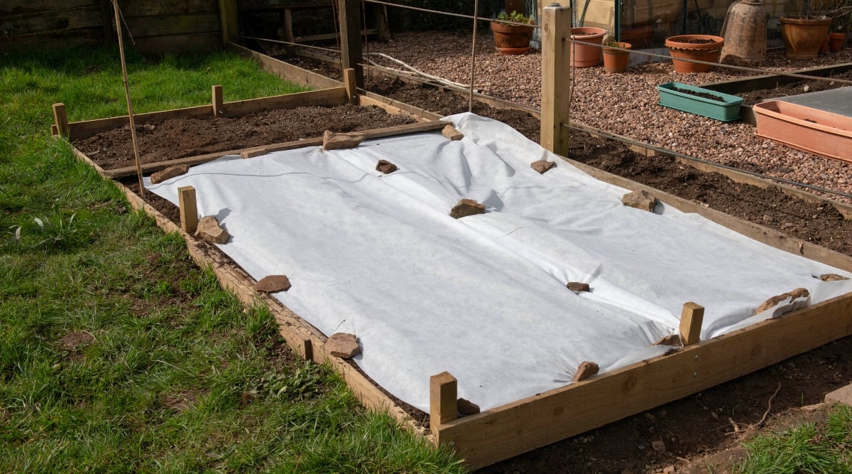 Close-up of a garden bed covered with tarp to block photosynthesis and kill any of the plants beneath. The garden bed is fenced with wooden boards. Tarp is white, pressed down with bricks over the entire area.