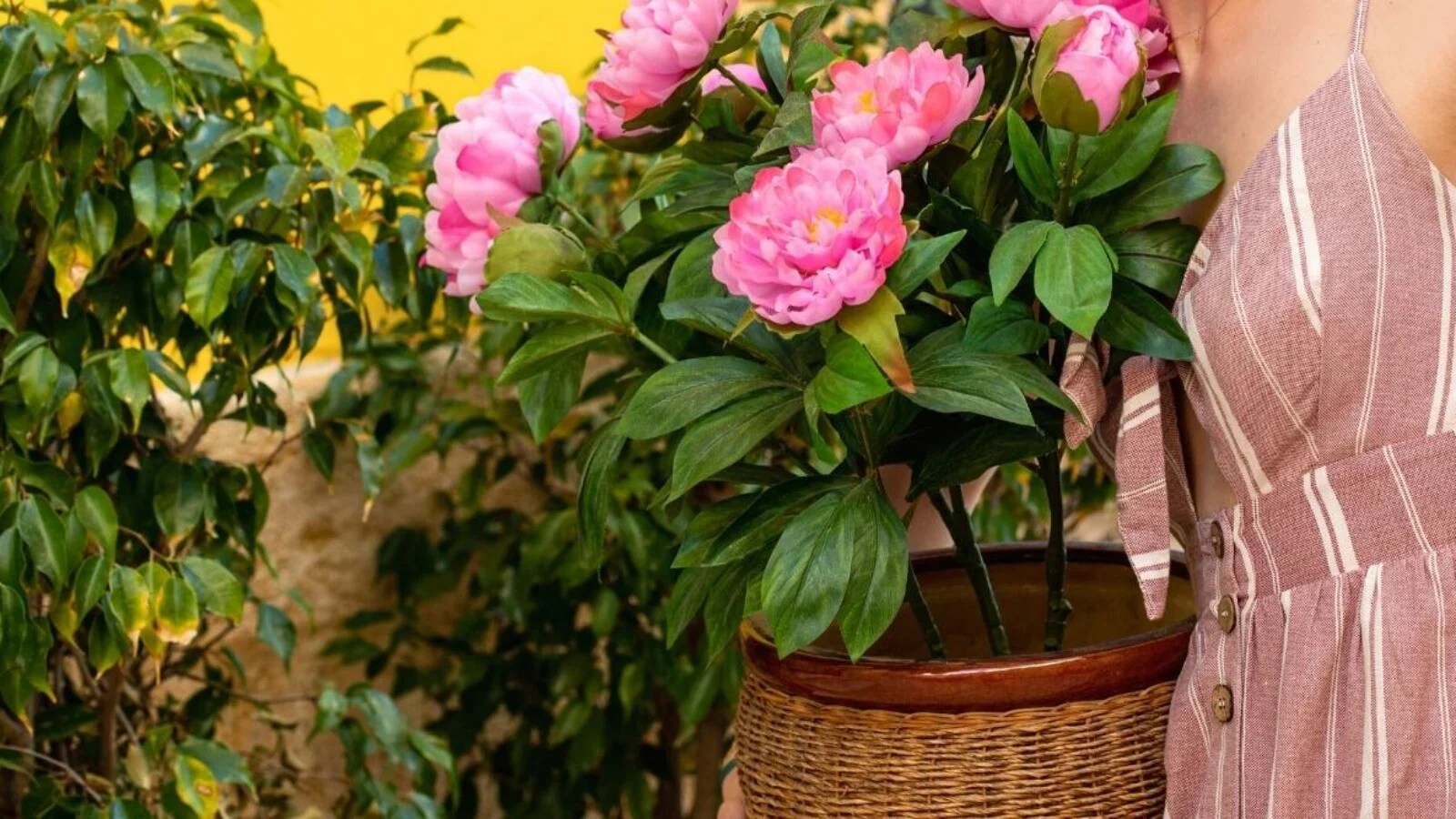peony container tips