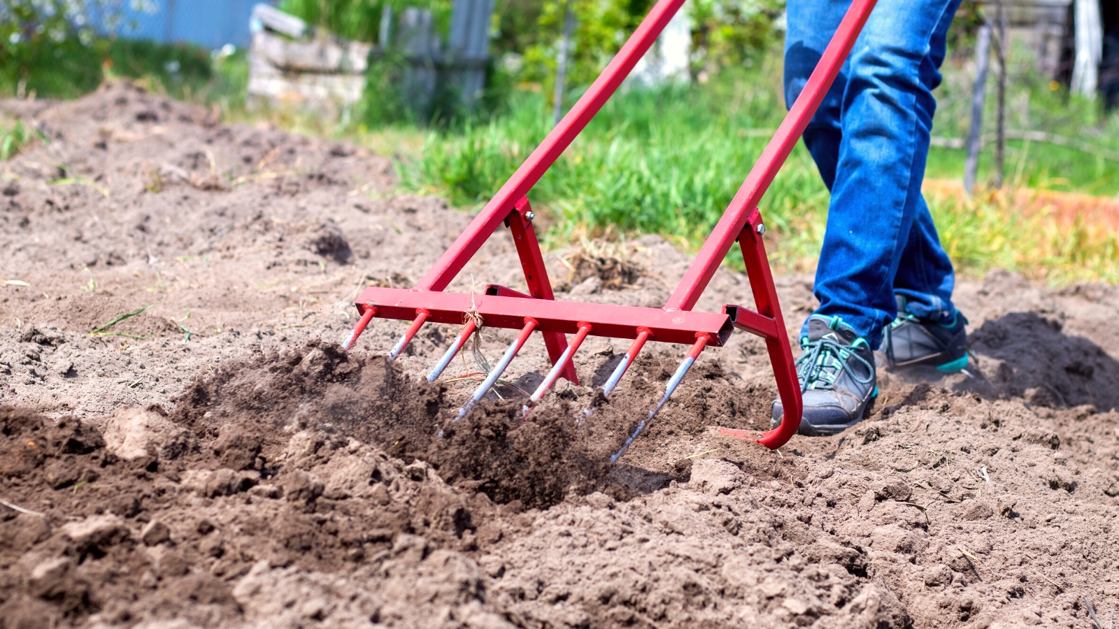 How and When to Aerate Your Soil Enhance Compacted Soil Home Garden