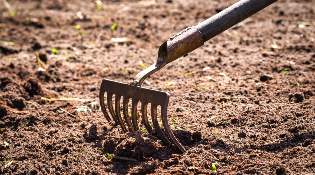 How and When to Aerate Your Soil Enhance Compacted Soil Home Garden